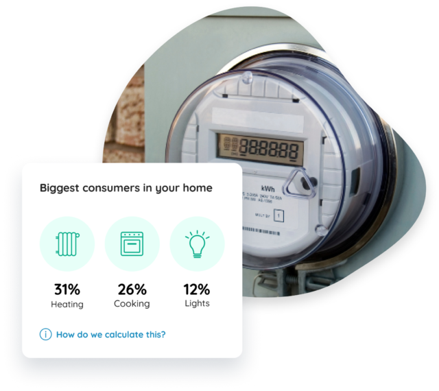 Eliq's solution for Germany's smart meter rollout.